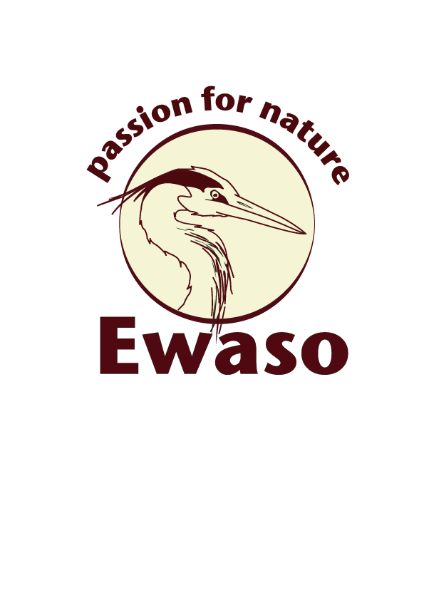 Ewaso-logo-rood-[Converted]-copy
